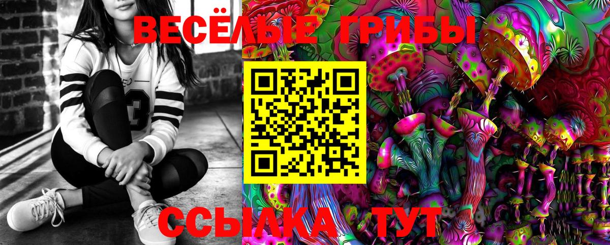 Псилоцибиновые грибы Cubensis Ковров