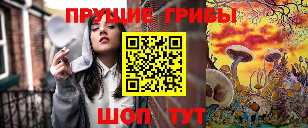 Ковров  где купить наркоту  Псилоцибиновые грибы Cubensis  Вход с VPN  Псилоцибиновые грибы прущие грибы 
